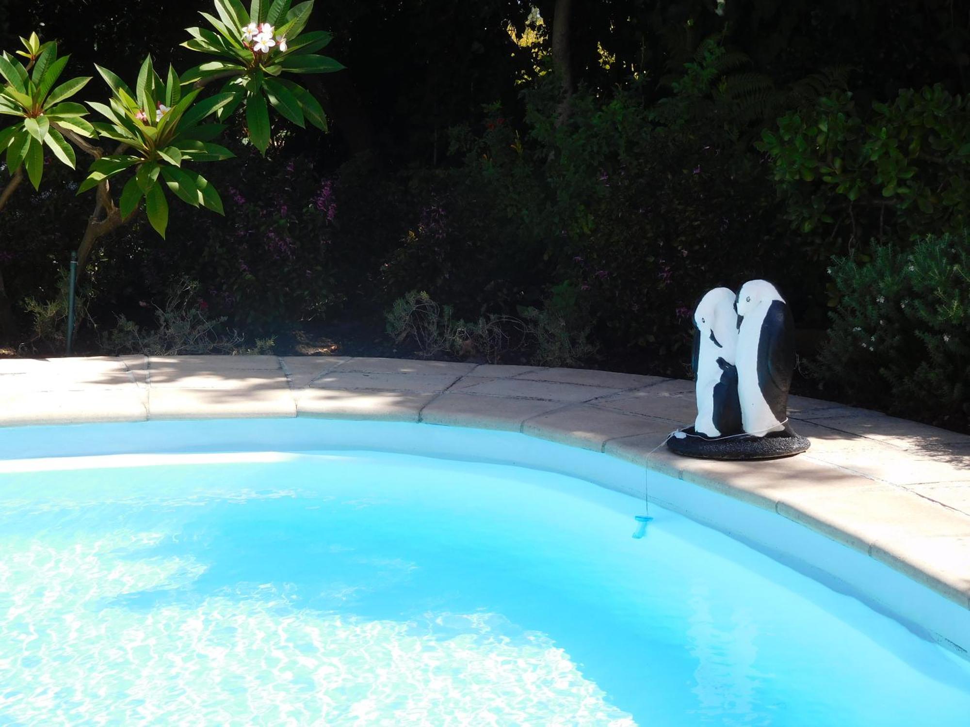Ferienwohnung Garden Pool flat Somerset West Exterior foto
